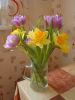 DSC03126.thumb.JPG.df301e87a664abe7fbef0