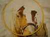 DSC03129.thumb.JPG.d407f0a58157ccf0d356c