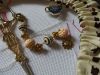DSC04546.thumb.JPG.3107065d9bf79abb12b62