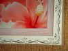 DSC04692.thumb.JPG.a50eabde150b0c51c589b
