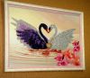 DSC04693.thumb.JPG.c89f5fe38b68859ca286e