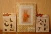 DSC04752.thumb.JPG.7c6a7b3cdc5dd6a0c06b8