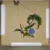 DSC04755.thumb.JPG.fc8137b5a6a0e90eae262