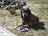 DSC04775.thumb.JPG.c138bb0fb08323206ecdb