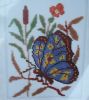 DSC04840.thumb.jpg.aa29c8d7f42e3adaae239