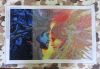 DSC05759.thumb.JPG.9b66732cf27ef3a7bee09