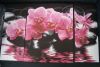 DSC06158.thumb.JPG.59d62497fb3ab270fe0ac