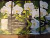 DSC06375.thumb.JPG.9b5aa8ce36b10cc02cd54