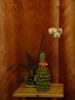 DSC07352.JPG