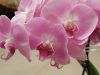 DSCN0032.thumb.JPG.3e185e46b35331e9b87f7