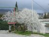 DSCN1501.thumb.JPG.92ddb5cc0021d87955532