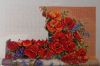DSCN4879.thumb.jpg.c62f7451abf530d9d4d32