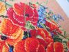 DSCN4883.thumb.jpg.eea994ce0e0c940d13545