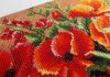 DSCN4893.thumb.jpg.75b00531f01e78d380828