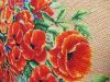 DSCN4901.thumb.jpg.f73f2e627e47bda794100