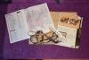 DSC_0272.thumb.JPG.b8ef8f7c430ad45459058