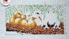 Dim-65094-Ugly-Duckling-Lena-leo-leo-sun