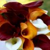 IMG-20160308-WA0022.thumb.jpg.9776087769