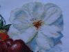 IMGA0627.thumb.JPG.db3c99fac70312f32d8aa