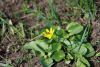 IMGP1106.thumb.JPG.d923402ac60cae0662c47