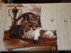 IMGP2245.thumb.JPG.f141dd62bce09f1400d65