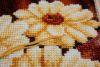IMG_0596.thumb.JPG.d30c6447795b55033452c