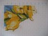 IMG_1030-1.jpg.7af65dbdfe4d395d326d4faa83e40277.jpg