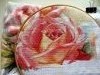 IMG_1165.thumb.JPG.b9f8e4f2e281eade58bcf