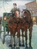 IMG_1264.thumb.JPG.534cce3de7b81b761744f