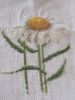 IMG_2012.thumb.JPG.599144464ce18ba664ab6