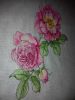IMG_20160304_185415.thumb.jpg.ed5d1d32c1