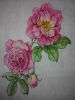 IMG_20160304_185943.thumb.jpg.df93aa599c