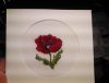 IMG_20160306_214211.jpg