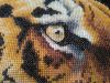 IMG_20160307_165431.thumb.jpg.0fa0028afe