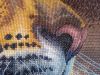 IMG_20160307_165442.thumb.jpg.90b8493ddb