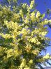 IMG_20160308_135236.thumb.jpg.10b4a081bb