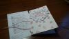 IMG_20160308_160231.thumb.jpg.fb6a6163c5