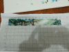 IMG_20160310_012443.jpg
