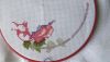 IMG_4529.thumb.JPG.9d1d60084ad8ca917b95e