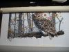 IMG_9581-1.thumb.jpg.f88e941039b3e0d7b99