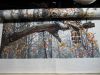 IMG_9665-1.thumb.jpg.3acfe7f041d4fe096ee
