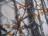 IMG_9696-1.thumb.jpg.2b3500003a67dbbaded