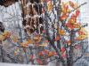 IMG_9699-1.thumb.jpg.8776c8111b961711498