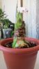 IMG_9877.thumb.JPG.7e2b03002cb730635b2a4