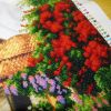 P3020150.thumb.JPG.f5608ad0ae95638fc32cf