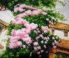 P3020151.thumb.JPG.8b0852236883955b31ca8