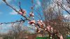P_20160306_143045.thumb.jpg.5a1b7d4e1d04