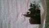 P_20160307_122343.thumb.jpg.d7b5db67edcd