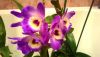 P_20160316_145735.thumb.jpg.ff48273c7a9c