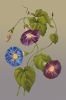 RBy923xiwxo.thumb.jpg.d25931600a0b0a8b93